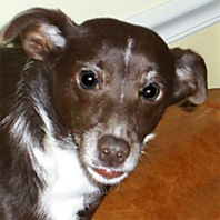In Loving Memory of Lacey Mlynczak