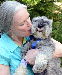Gunny, a Schnauzer