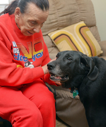 Shadow, a Black Labrador Retriever Suffering with Hypothyroidism