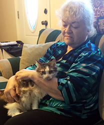 Misty, a Kitty with Skin Problems