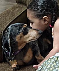 Faith, a Little Doxie Girl