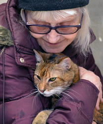 Sonya, a Kitty with Hyperthyroidism