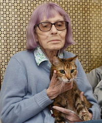 Sonya - A Hyperthyroid Kitty with Heart Disease