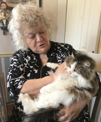 Misty, a Beautiful Long-Haired Kitty