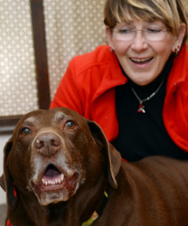 Sunny, an 11.5 Year old Chocolate Lab with Osteoarthritis