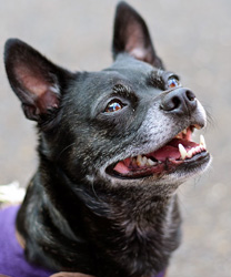 Skye