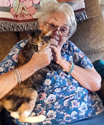 Whisper, an 8 year old rescue cat
