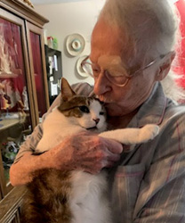 Dagmore, a 12 Year Old Cat
