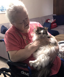 Misty, an 11 Year Old Cat