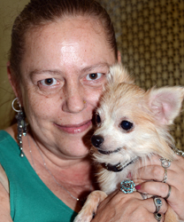Beau, the Long-Haired Chihuahua