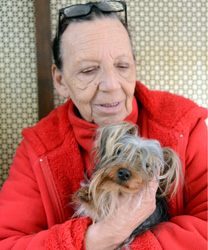 Chi-Chi & Shadow