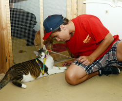 Bud and Billy at CATS Bridge to Rescue