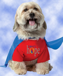 Be a Super Hero, Sponsor a Needy Pet!